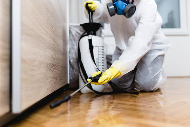 Best Insect Control  in Santa Clarita, CA